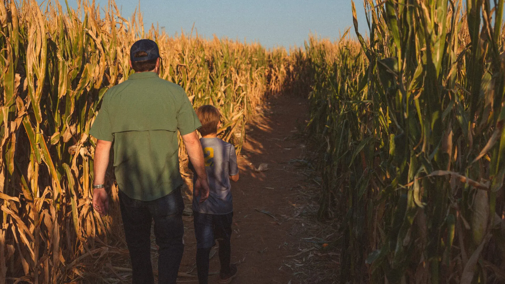 A man and child walking through the corn.