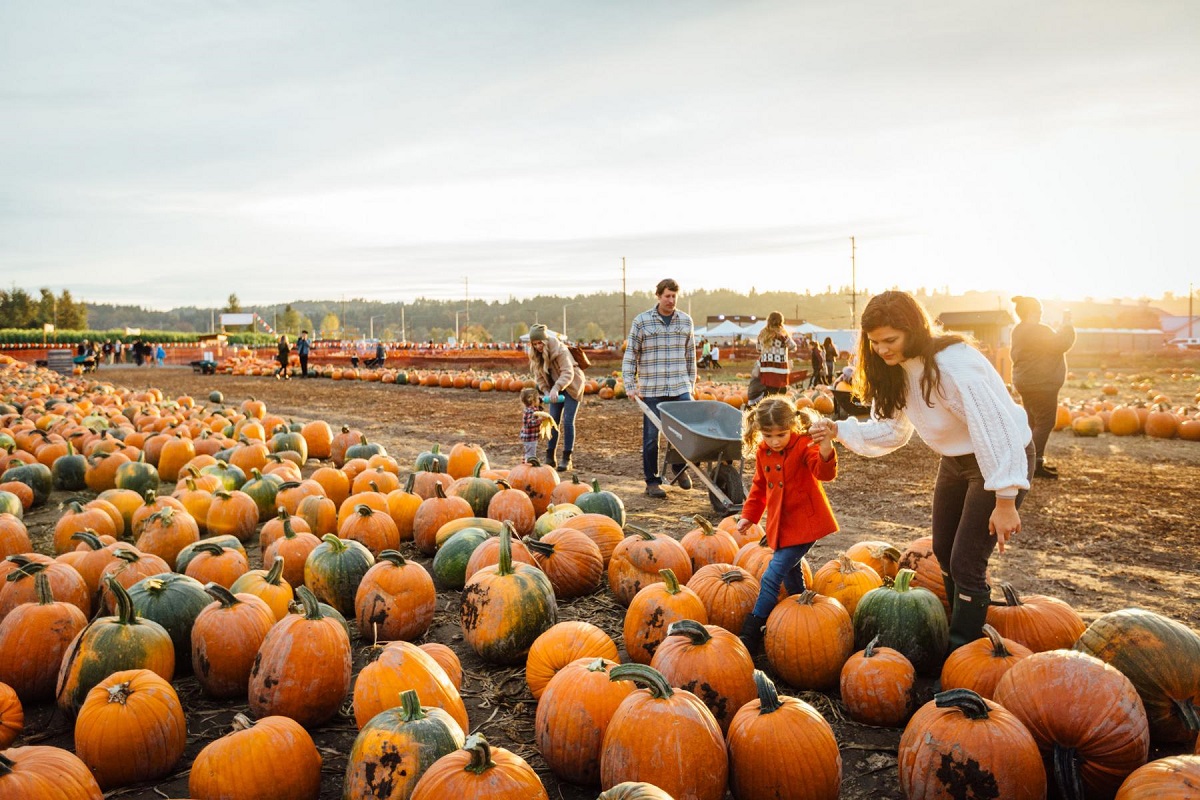 A group of people standing around pumpkins on the ground.